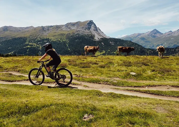 アパートホテル Palazi & 4*