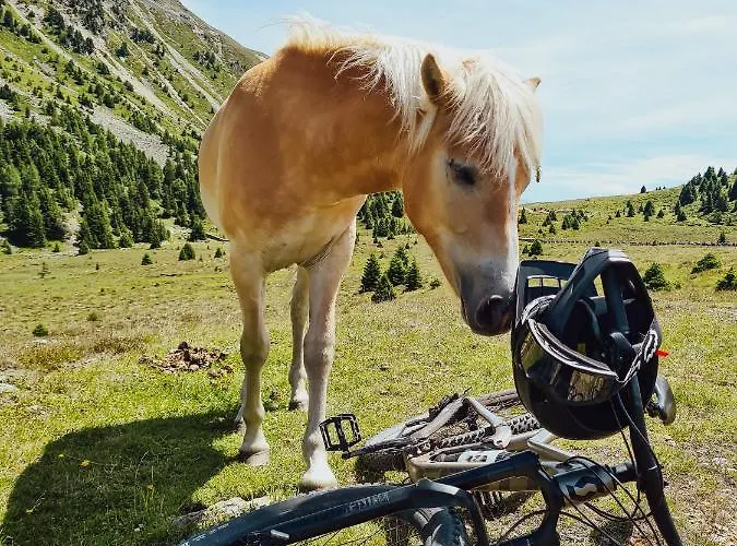 Palazi & アパートホテル