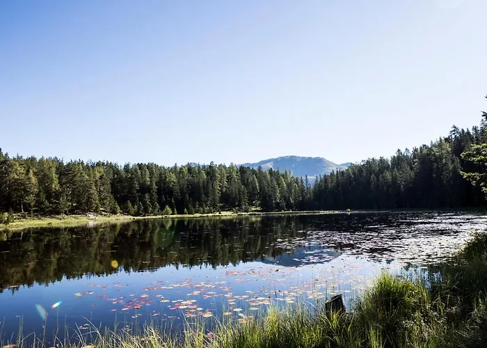 アパートホテル Palazi & ナウダース