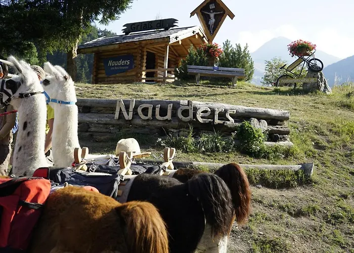 Palazi & 4* ナウダース