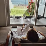 Palazi & 公寓式酒店 4*