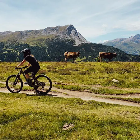 Aparthotel Palazi & - Bike, & Wellness In 4*
