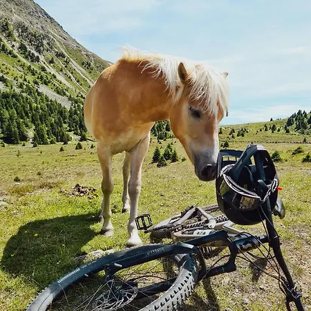 Palazi & - Bike, & Wellness In Lejlighedshotel